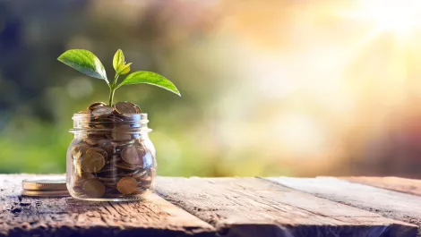 Three new accelerator programmes launched to help Kiwi tech start ups
