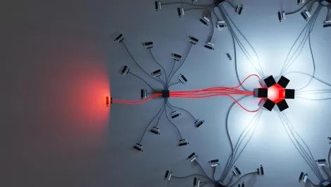 O365 a weak point ripe for exploit, say security professionals